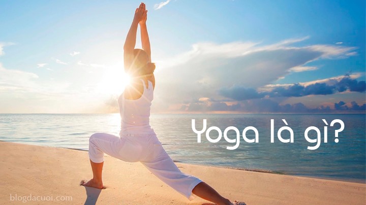 Yoga là gì? Nguồn gốc lịch sử, Phân loại và Những điều cần biết