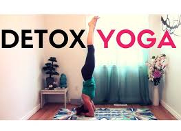 Hiểu Về Detox Yoga - Bí Quyết Làm Sạch Cơ Thể Bằng Yoga