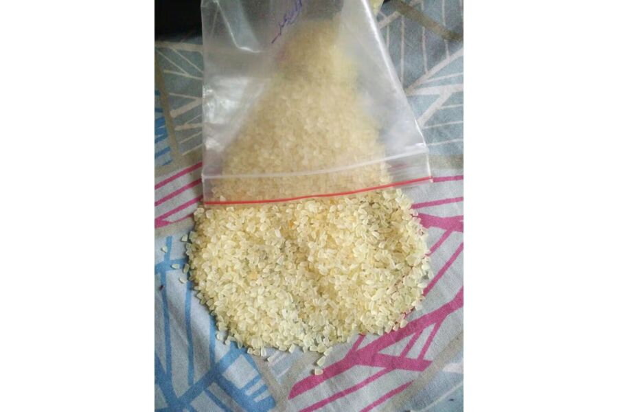 What Is India Rice? Why Is It Famous in the World?
